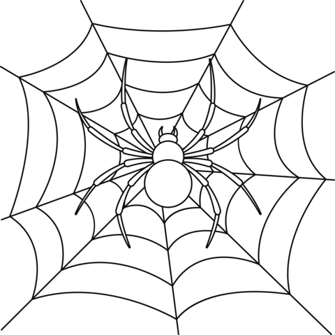 Spider On Web Coloring Page